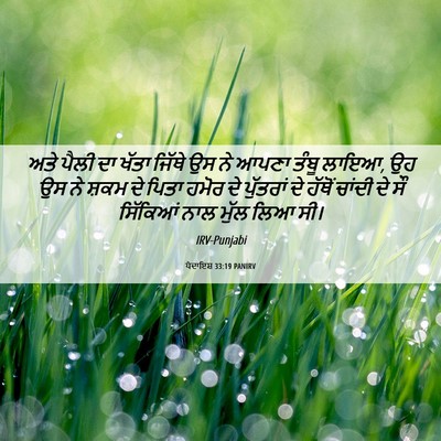 Picture 06 - ਪੈਦਾਇਸ਼ 33:19 PANIRV - ਅਤੇ ਪੈਲੀ ਦਾ ਖੱਤਾ - Bible Verse Picture