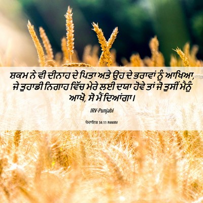 Picture 06 - ਪੈਦਾਇਸ਼ 34:11 PANIRV - ਸ਼ਕਮ ਨੇ ਵੀ ਦੀਨਾਹ ਦੇ - Bible Verse Picture