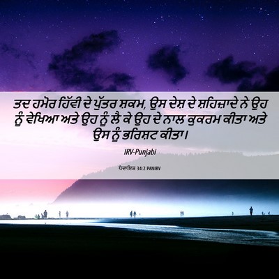 Picture 06 - ਪੈਦਾਇਸ਼ 34:2 PANIRV - ਤਦ ਹਮੋਰ ਹਿੱਵੀ ਦੇ - Bible Verse Picture