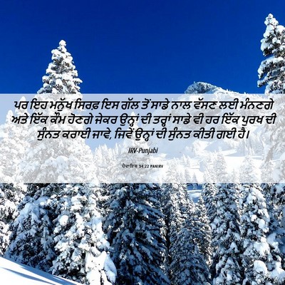 Picture 06 - ਪੈਦਾਇਸ਼ 34:22 PANIRV - ਪਰ ਇਹ ਮਨੁੱਖ ਸਿਰਫ਼ - Bible Verse Picture