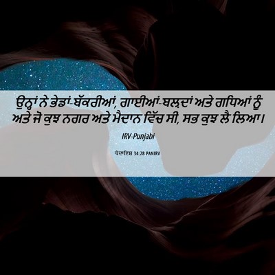 Picture 06 - ਪੈਦਾਇਸ਼ 34:28 PANIRV - ਉਨ੍ਹਾਂ ਨੇ - Bible Verse Picture