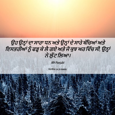 Picture 06 - ਪੈਦਾਇਸ਼ 34:29 PANIRV - ਉਹ ਉਨ੍ਹਾਂ ਦਾ ਸਾਰਾ - Bible Verse Picture