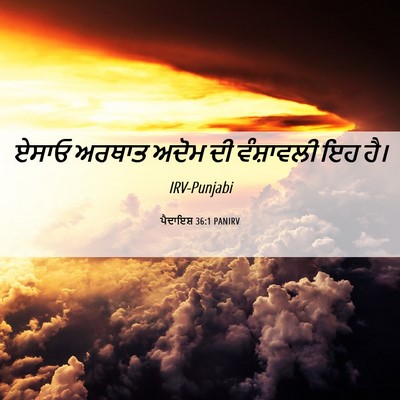 Picture 06 - ਪੈਦਾਇਸ਼ 36:1 PANIRV - ਏਸਾਓ ਅਰਥਾਤ ਅਦੋਮ ਦੀ - Bible Verse Picture
