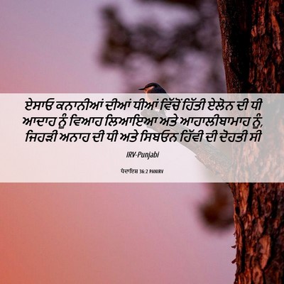 Picture 06 - ਪੈਦਾਇਸ਼ 36:2 PANIRV - ਏਸਾਓ ਕਨਾਨੀਆਂ ਦੀਆਂ - Bible Verse Picture