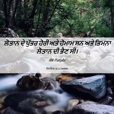 Picture 06 - ਪੈਦਾਇਸ਼ 36:22 PANIRV - ਲੋਤਾਨ ਦੇ ਪੁੱਤਰ - Bible Verse Picture