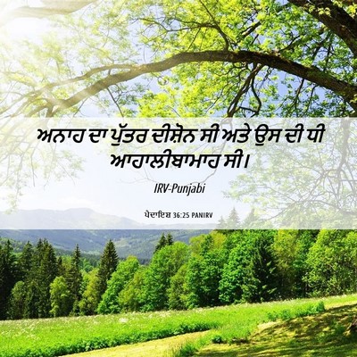 Picture 06 - ਪੈਦਾਇਸ਼ 36:25 PANIRV - ਅਨਾਹ ਦਾ ਪੁੱਤਰ - Bible Verse Picture