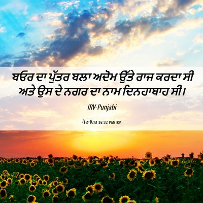 Picture 06 - ਪੈਦਾਇਸ਼ 36:32 PANIRV - ਬਓਰ ਦਾ ਪੁੱਤਰ ਬਲਾ - Bible Verse Picture