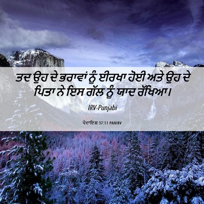 Picture 06 - ਪੈਦਾਇਸ਼ 37:11 PANIRV - ਤਦ ਉਹ ਦੇ ਭਰਾਵਾਂ ਨੂੰ - Bible Verse Picture