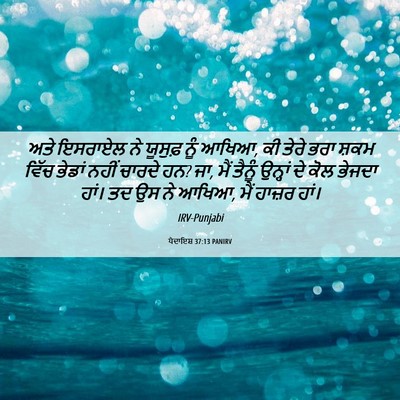 Picture 06 - ਪੈਦਾਇਸ਼ 37:13 PANIRV - ਅਤੇ ਇਸਰਾਏਲ ਨੇ - Bible Verse Picture