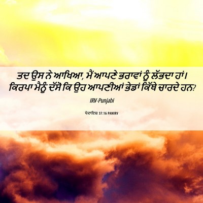 Picture 06 - ਪੈਦਾਇਸ਼ 37:16 PANIRV - ਤਦ ਉਸ ਨੇ ਆਖਿਆ, ਮੈਂ - Bible Verse Picture