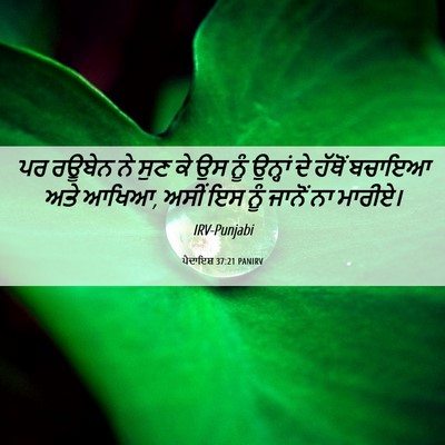 Picture 06 - ਪੈਦਾਇਸ਼ 37:21 PANIRV - ਪਰ ਰਊਬੇਨ ਨੇ ਸੁਣ ਕੇ - Bible Verse Picture