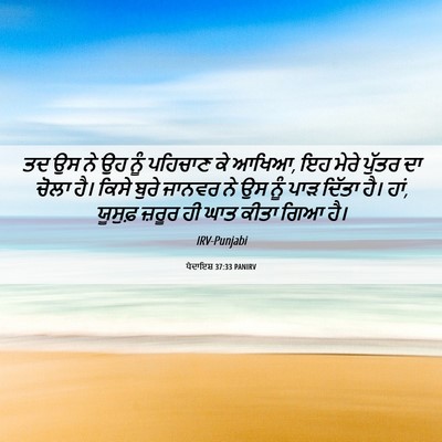 Picture 06 - ਪੈਦਾਇਸ਼ 37:33 PANIRV - ਤਦ ਉਸ ਨੇ ਉਹ ਨੂੰ - Bible Verse Picture