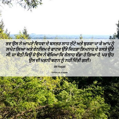 Picture 06 - ਪੈਦਾਇਸ਼ 38:14 PANIRV - ਤਦ ਉਸ ਨੇ ਆਪਣੇ ਵਿਧਵਾ - Bible Verse Picture