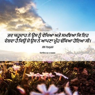 Picture 06 - ਪੈਦਾਇਸ਼ 38:15 PANIRV - ਤਦ ਯਹੂਦਾਹ ਨੇ ਉਸ ਨੂੰ - Bible Verse Picture