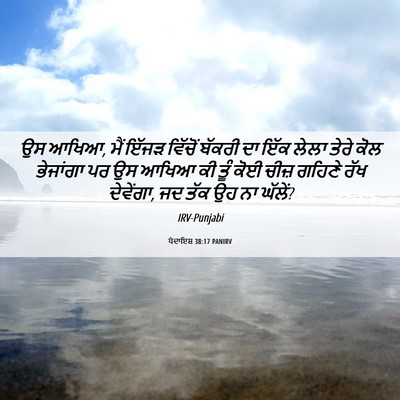 Picture 06 - ਪੈਦਾਇਸ਼ 38:17 PANIRV - ਉਸ ਆਖਿਆ, ਮੈਂ ਇੱਜੜ - Bible Verse Picture