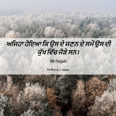 Picture 06 - ਪੈਦਾਇਸ਼ 38:27 PANIRV - ਅਜਿਹਾ ਹੋਇਆ ਕਿ ਉਸ ਦੇ - Bible Verse Picture