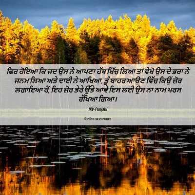 Picture 06 - ਪੈਦਾਇਸ਼ 38:29 PANIRV - ਫਿਰ ਹੋਇਆ ਕਿ ਜਦ ਉਸ - Bible Verse Picture