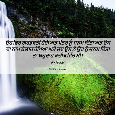 Picture 06 - ਪੈਦਾਇਸ਼ 38:5 PANIRV - ਉਹ ਫਿਰ ਗਰਭਵਤੀ ਹੋਈ - Bible Verse Picture