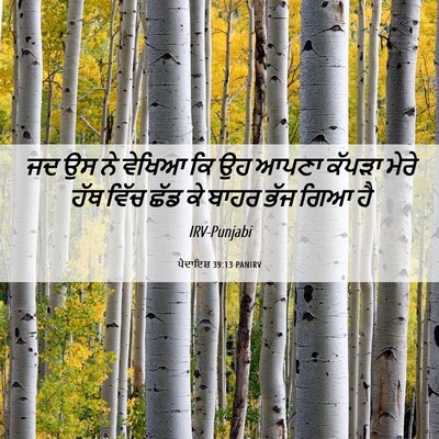 Picture 06 - ਪੈਦਾਇਸ਼ 39:13 PANIRV - ਜਦ ਉਸ ਨੇ ਵੇਖਿਆ ਕਿ - Bible Verse Picture