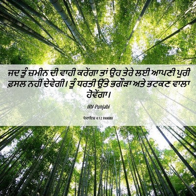 Picture 06 - ਪੈਦਾਇਸ਼ 4:12 PANIRV - ਜਦ ਤੂੰ ਜ਼ਮੀਨ ਦੀ - Bible Verse Picture