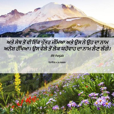 Picture 06 - ਪੈਦਾਇਸ਼ 4:26 PANIRV - ਅਤੇ ਸੇਥ ਤੋਂ ਵੀ ਇੱਕ - Bible Verse Picture