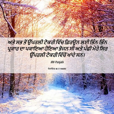 Picture 06 - ਪੈਦਾਇਸ਼ 40:17 PANIRV - ਅਤੇ ਸਭ ਤੋਂ ਉੱਪਰਲੀ - Bible Verse Picture