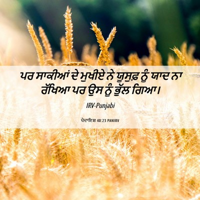 Picture 06 - ਪੈਦਾਇਸ਼ 40:23 PANIRV - ਪਰ ਸਾਕੀਆਂ ਦੇ ਮੁਖੀਏ - Bible Verse Picture