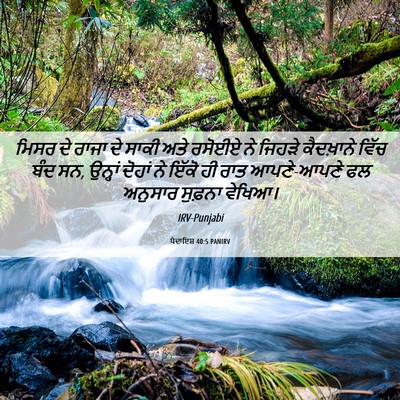 Picture 06 - ਪੈਦਾਇਸ਼ 40:5 PANIRV - ਮਿਸਰ ਦੇ ਰਾਜਾ ਦੇ - Bible Verse Picture