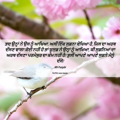 Picture 06 - ਪੈਦਾਇਸ਼ 40:8 PANIRV - ਤਦ ਉਨ੍ਹਾਂ ਨੇ ਉਸ ਨੂੰ - Bible Verse Picture