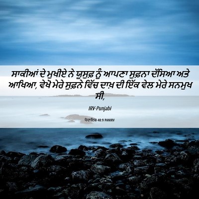 Picture 06 - ਪੈਦਾਇਸ਼ 40:9 PANIRV - ਸਾਕੀਆਂ ਦੇ ਮੁਖੀਏ ਨੇ - Bible Verse Picture
