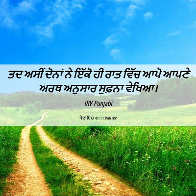 Picture 06 - ਪੈਦਾਇਸ਼ 41:11 PANIRV - ਤਦ ਅਸੀਂ ਦੋਨਾਂ ਨੇ - Bible Verse Picture