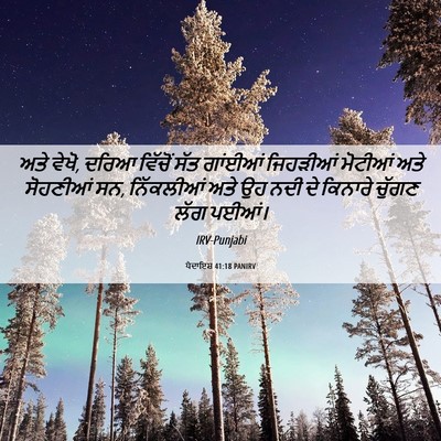Picture 06 - ਪੈਦਾਇਸ਼ 41:18 PANIRV - ਅਤੇ ਵੇਖੋ, ਦਰਿਆ - Bible Verse Picture