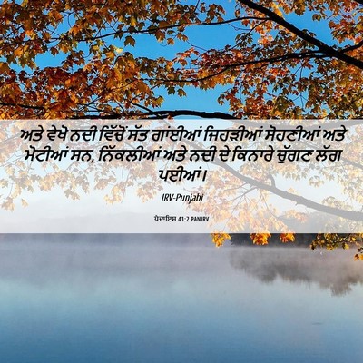 Picture 06 - ਪੈਦਾਇਸ਼ 41:2 PANIRV - ਅਤੇ ਵੇਖੋ ਨਦੀ - Bible Verse Picture