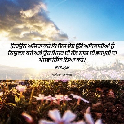 Picture 06 - ਪੈਦਾਇਸ਼ 41:34 PANIRV - ਫ਼ਿਰਊਨ ਅਜਿਹਾ ਕਰੇ - Bible Verse Picture