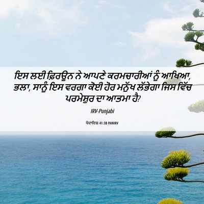 Picture 06 - ਪੈਦਾਇਸ਼ 41:38 PANIRV - ਇਸ ਲਈ ਫ਼ਿਰਊਨ ਨੇ - Bible Verse Picture