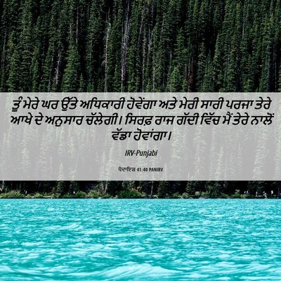 Picture 06 - ਪੈਦਾਇਸ਼ 41:40 PANIRV - ਤੂੰ ਮੇਰੇ ਘਰ ਉੱਤੇ - Bible Verse Picture