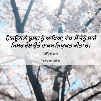 Picture 06 - ਪੈਦਾਇਸ਼ 41:41 PANIRV - ਫ਼ਿਰਊਨ ਨੇ ਯੂਸੁਫ਼ - Bible Verse Picture