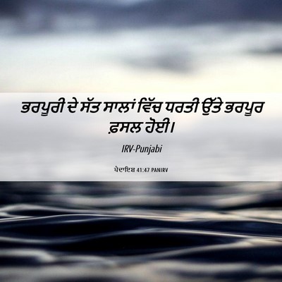 Picture 06 - ਪੈਦਾਇਸ਼ 41:47 PANIRV - ਭਰਪੂਰੀ ਦੇ ਸੱਤ - Bible Verse Picture