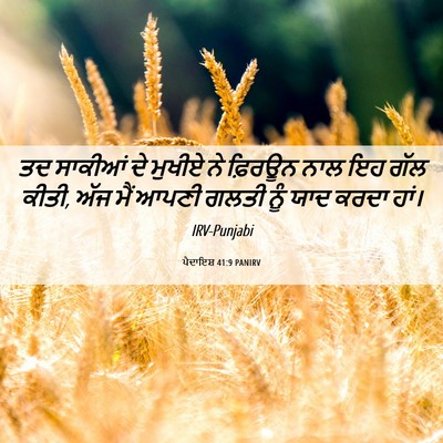 Picture 06 - ਪੈਦਾਇਸ਼ 41:9 PANIRV - ਤਦ ਸਾਕੀਆਂ ਦੇ ਮੁਖੀਏ - Bible Verse Picture