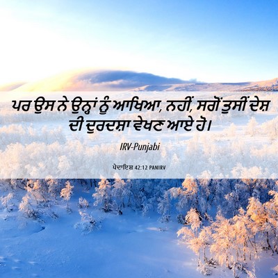 Picture 06 - ਪੈਦਾਇਸ਼ 42:12 PANIRV - ਪਰ ਉਸ ਨੇ ਉਨ੍ਹਾਂ ਨੂੰ - Bible Verse Picture