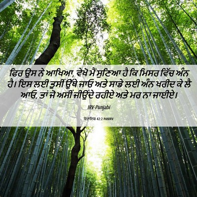 Picture 06 - ਪੈਦਾਇਸ਼ 42:2 PANIRV - ਫਿਰ ਉਸ ਨੇ ਆਖਿਆ, - Bible Verse Picture