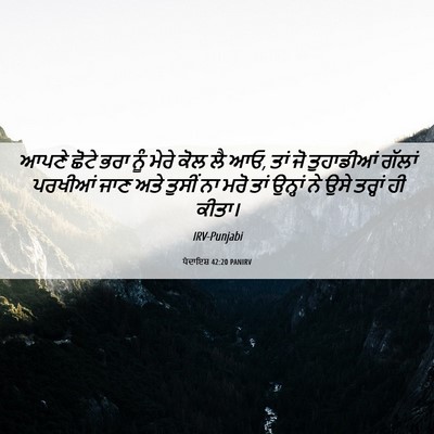 Picture 06 - ਪੈਦਾਇਸ਼ 42:20 PANIRV - ਆਪਣੇ ਛੋਟੇ ਭਰਾ ਨੂੰ - Bible Verse Picture
