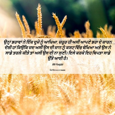 Picture 06 - ਪੈਦਾਇਸ਼ 42:21 PANIRV - ਉਨ੍ਹਾਂ ਭਰਾਵਾਂ ਨੇ - Bible Verse Picture