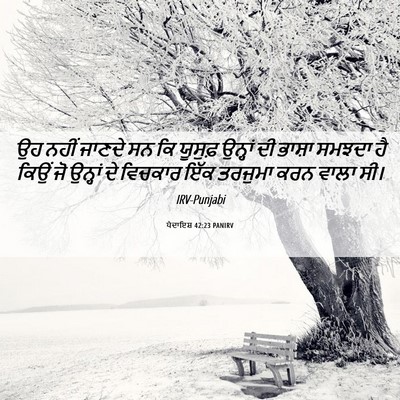 Picture 06 - ਪੈਦਾਇਸ਼ 42:23 PANIRV - ਉਹ ਨਹੀਂ ਜਾਣਦੇ ਸਨ ਕਿ - Bible Verse Picture