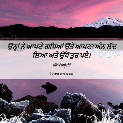 Picture 06 - ਪੈਦਾਇਸ਼ 42:26 PANIRV - ਉਨ੍ਹਾਂ ਨੇ ਆਪਣੇ - Bible Verse Picture