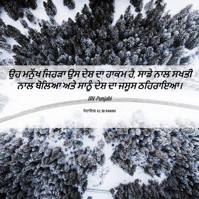Picture 06 - ਪੈਦਾਇਸ਼ 42:30 PANIRV - ਉਹ ਮਨੁੱਖ ਜਿਹੜਾ ਉਸ - Bible Verse Picture