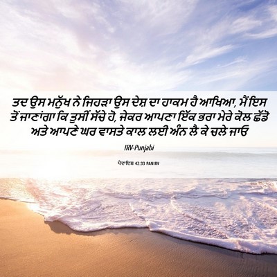 Picture 06 - ਪੈਦਾਇਸ਼ 42:33 PANIRV - ਤਦ ਉਸ ਮਨੁੱਖ ਨੇ - Bible Verse Picture