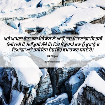 Picture 06 - ਪੈਦਾਇਸ਼ 42:34 PANIRV - ਅਤੇ ਆਪਣਾ ਛੋਟਾ ਭਰਾ - Bible Verse Picture