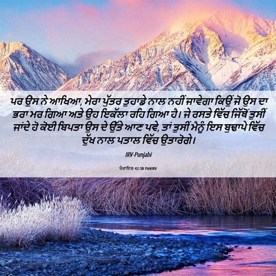 Picture 06 - ਪੈਦਾਇਸ਼ 42:38 PANIRV - ਪਰ ਉਸ ਨੇ ਆਖਿਆ, ਮੇਰਾ - Bible Verse Picture