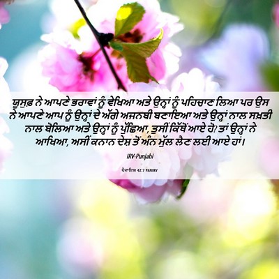 Picture 06 - ਪੈਦਾਇਸ਼ 42:7 PANIRV - ਯੂਸੁਫ਼ ਨੇ ਆਪਣੇ - Bible Verse Picture